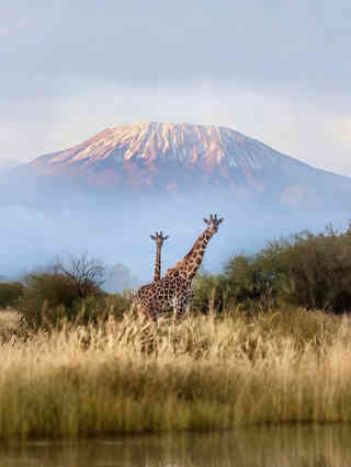 Mount Kilimanjaro — Africa's highest peak